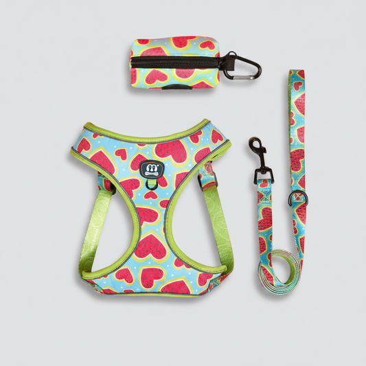 3-Piece Harness & Leash Set
