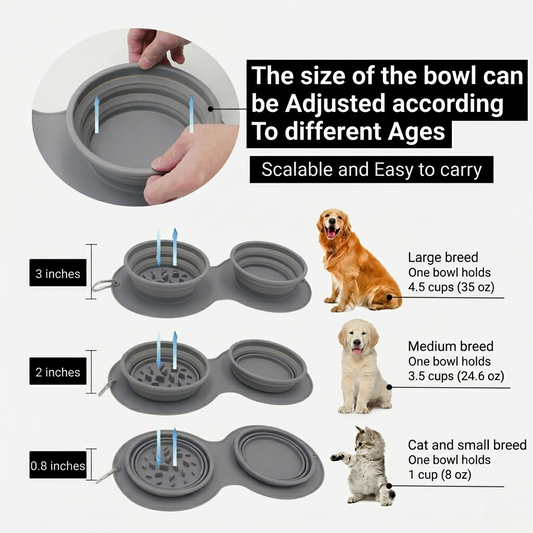 Collapsible Slow Feeder Bowl 2-In-1