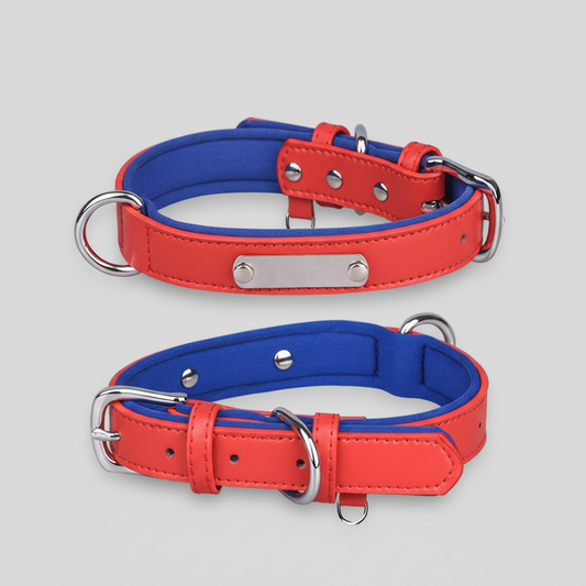 Dual D-Ring Collar With Nameplate
