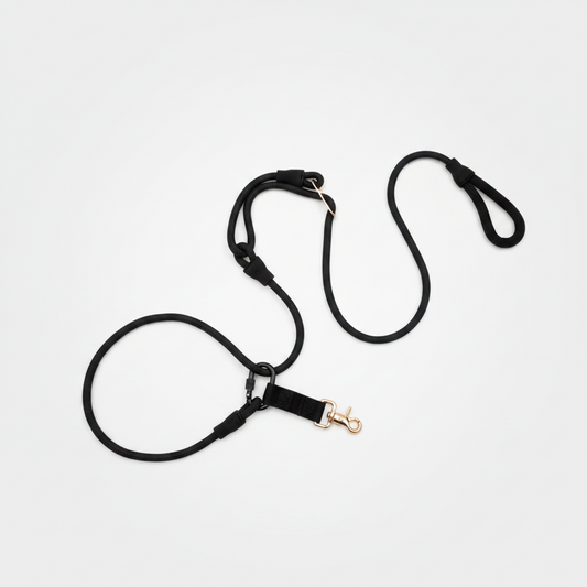 No-Pull Leash With Wrap Design