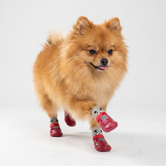 Waterproof Anti-Slip Paw Protectors