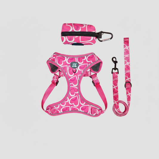 3-Piece Harness & Leash Set