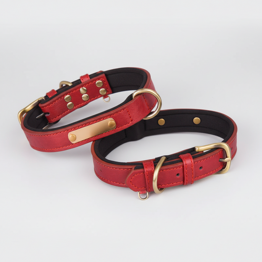 Breathable Cotton Dog Collar With Contrast-Color