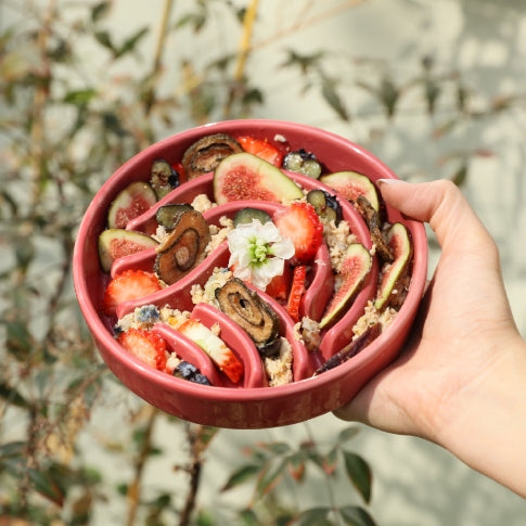 Ceramic Slow Feeder Dog Bowls
