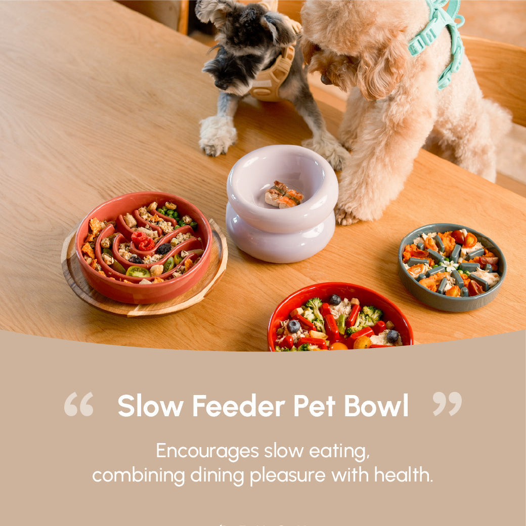 Ceramic Slow Feeder Dog Bowls