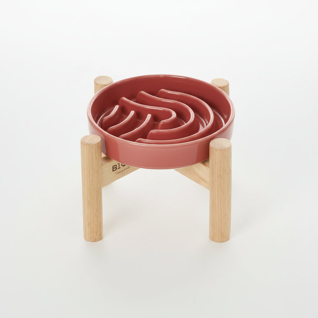 Ceramic Slow Feeder Dog Bowls