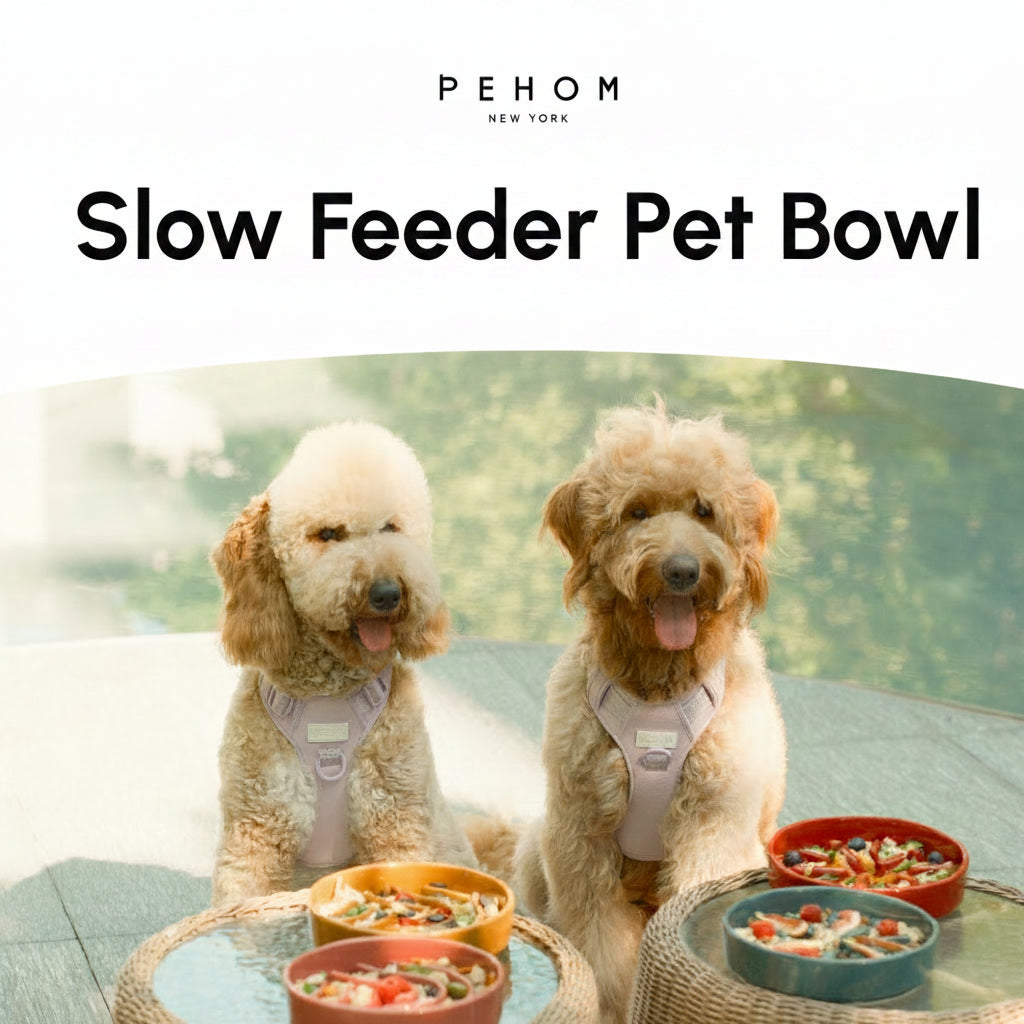 Ceramic Slow Feeder Dog Bowls