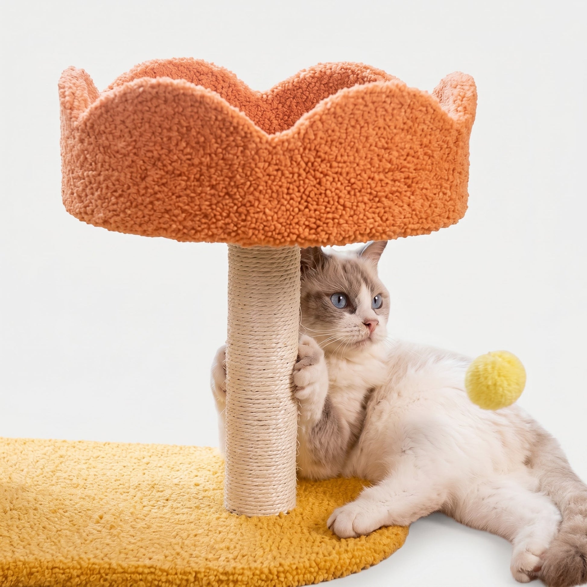 Compact Cat Activity Station
