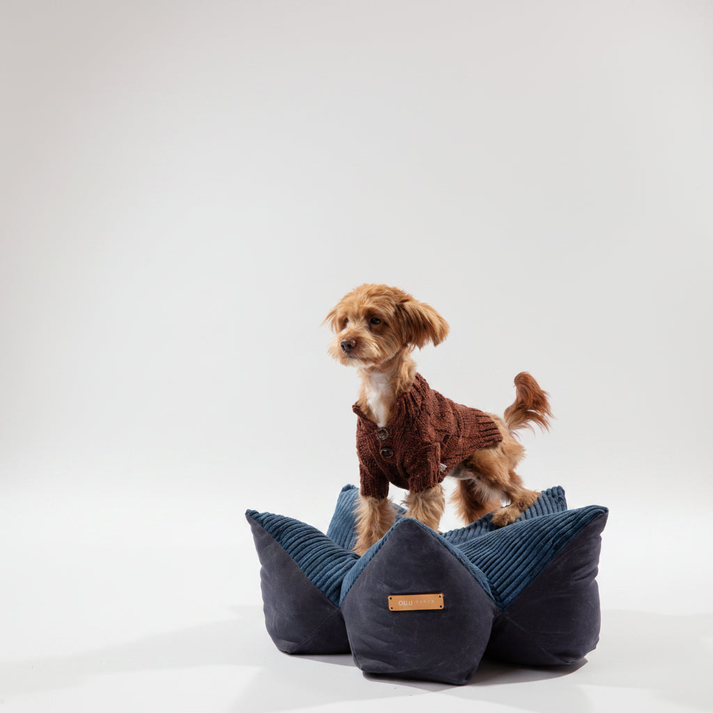 Contoured Corduroy Pillow Bed With Starfish Design