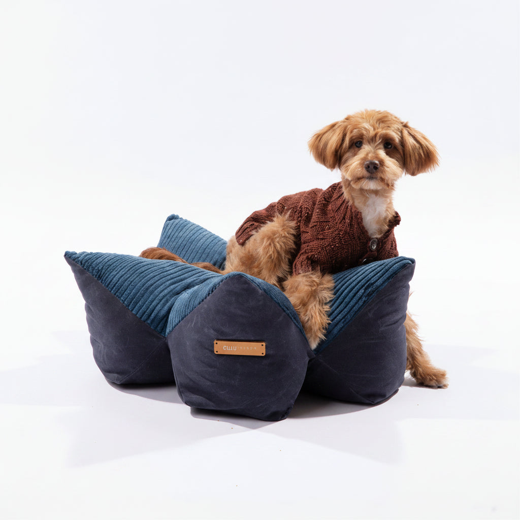Contoured Corduroy Pillow Bed With Starfish Design
