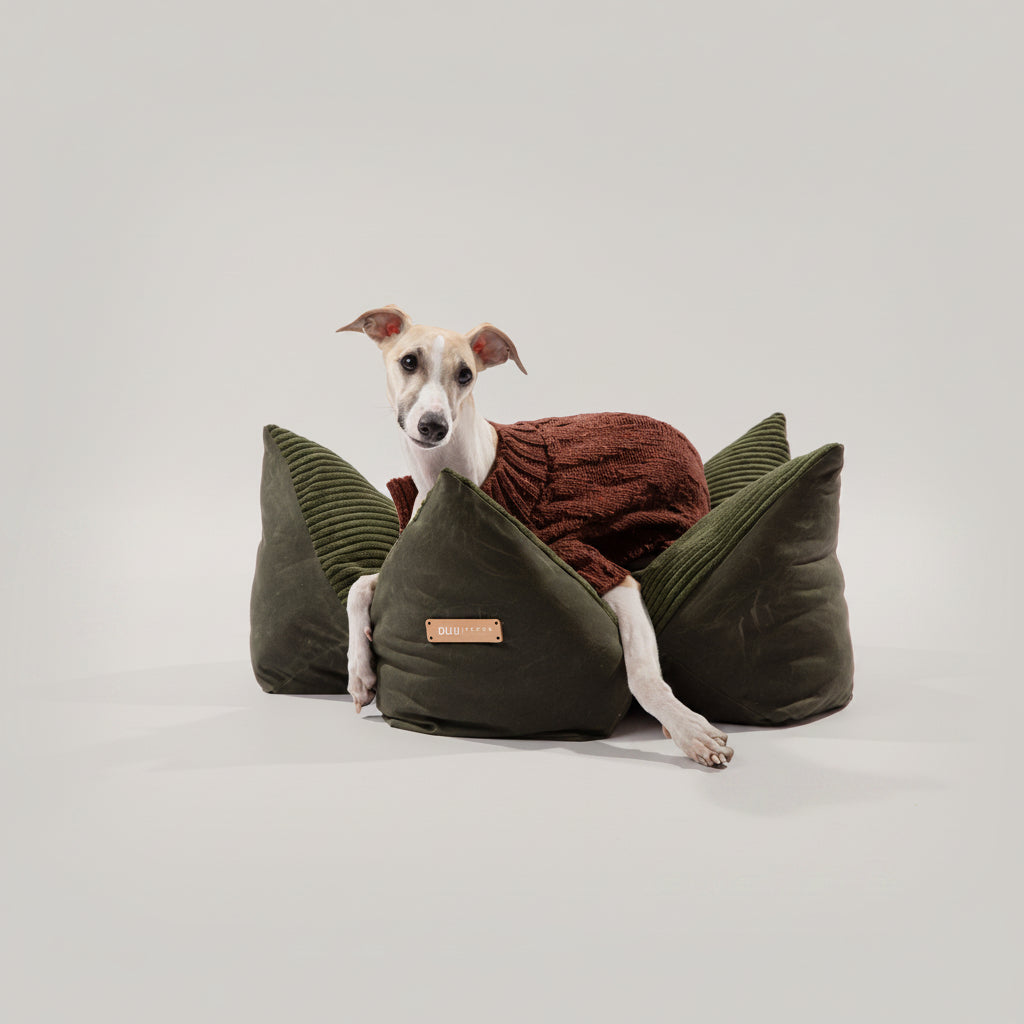 Contoured Corduroy Pillow Bed With Starfish Design