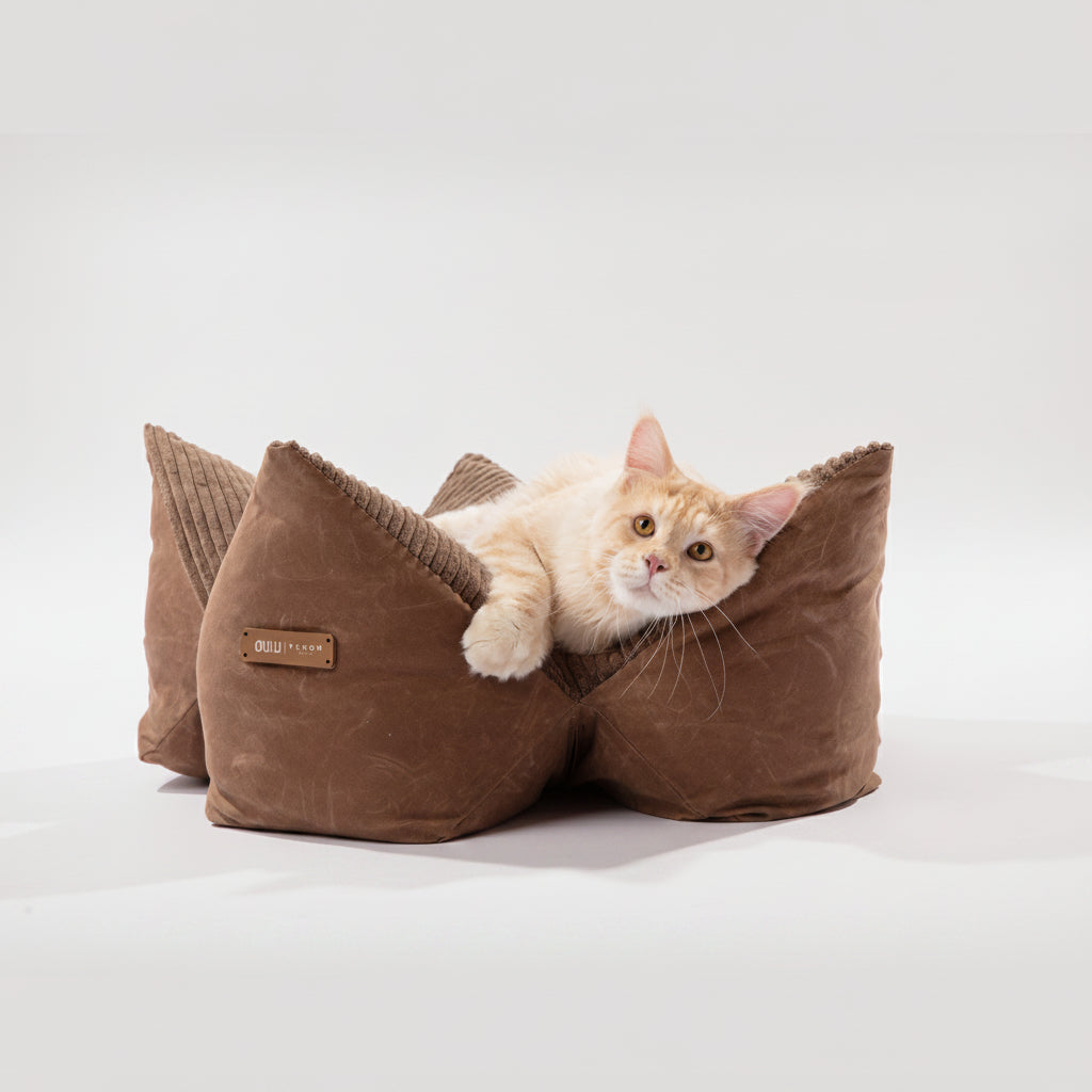Contoured Corduroy Pillow Bed With Starfish Design