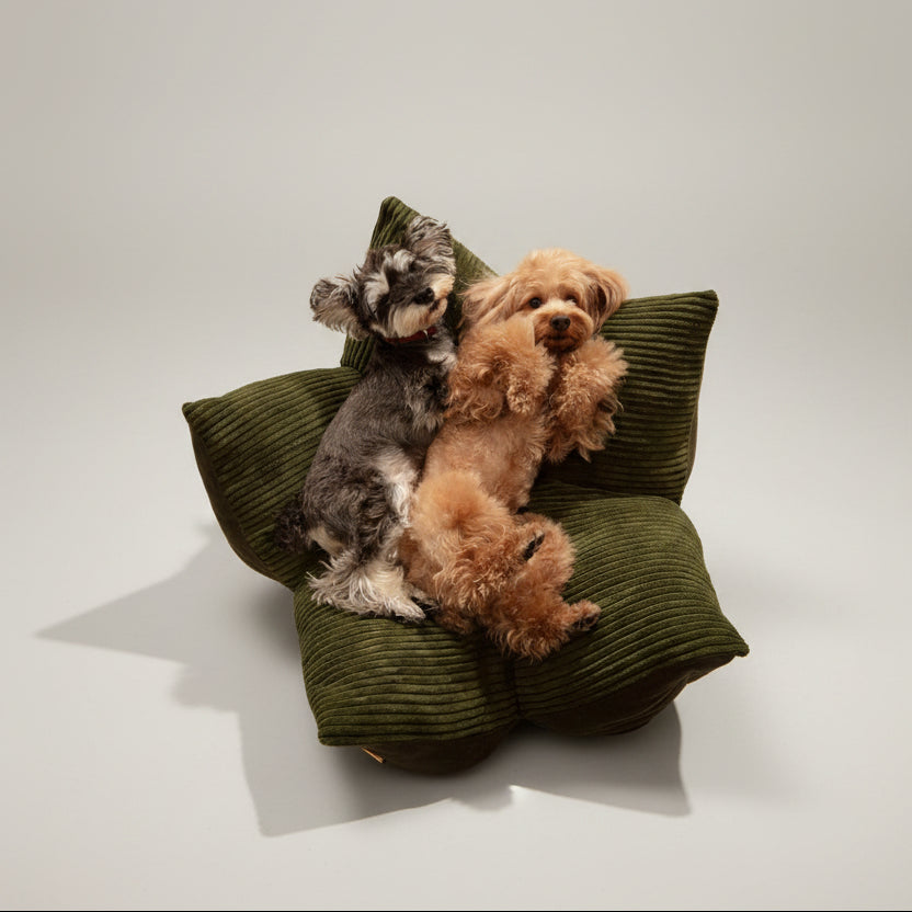 Contoured Corduroy Pillow Bed With Starfish Design
