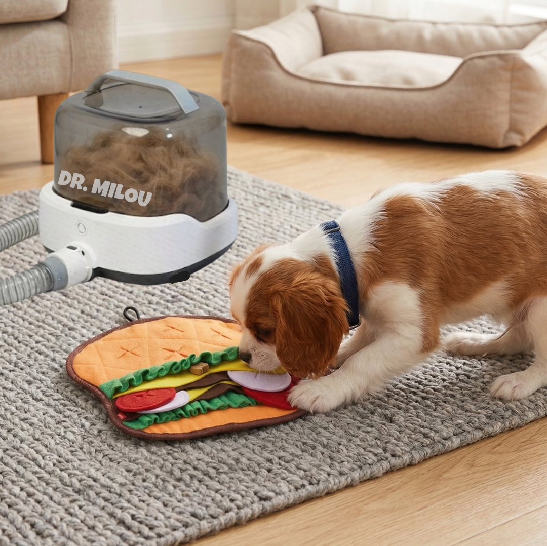 Cordless Vacuum Grooming Kit