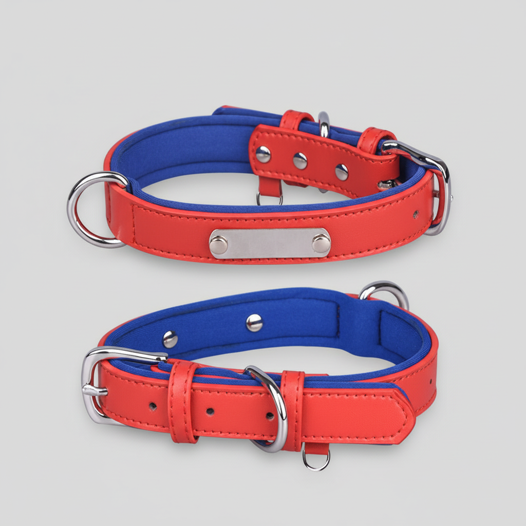 Dual D-Ring Collar With Nameplate