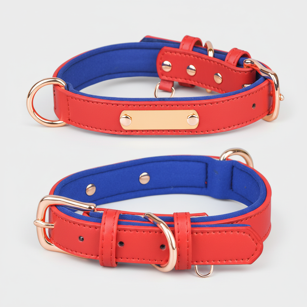 Dual D-Ring Collar With Nameplate