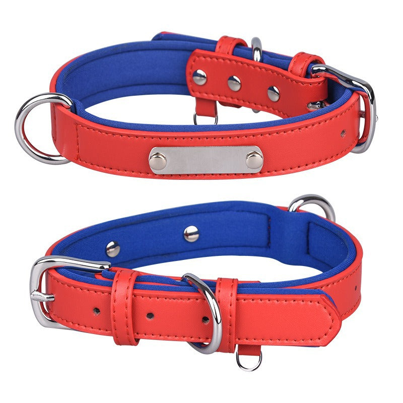 Dual D-Ring Collar With Nameplate