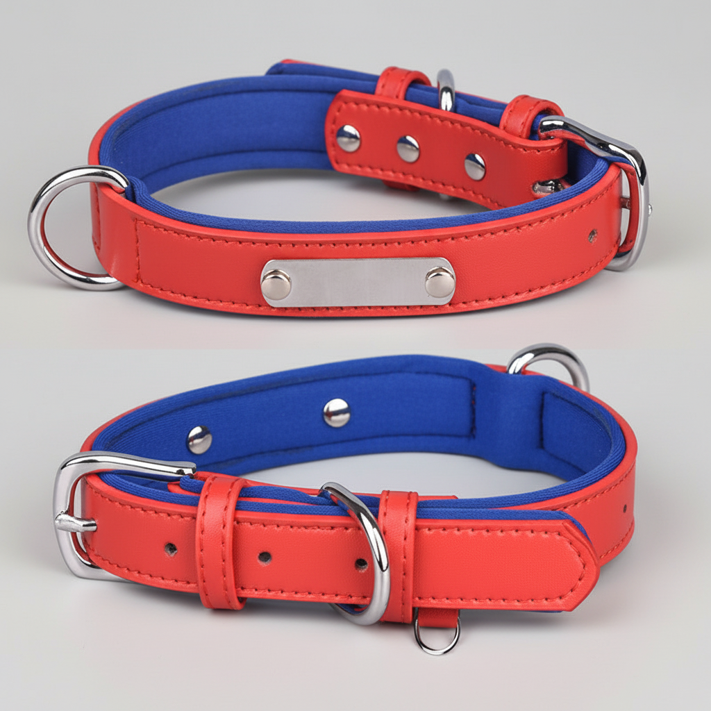 Dual D-Ring Collar With Nameplate