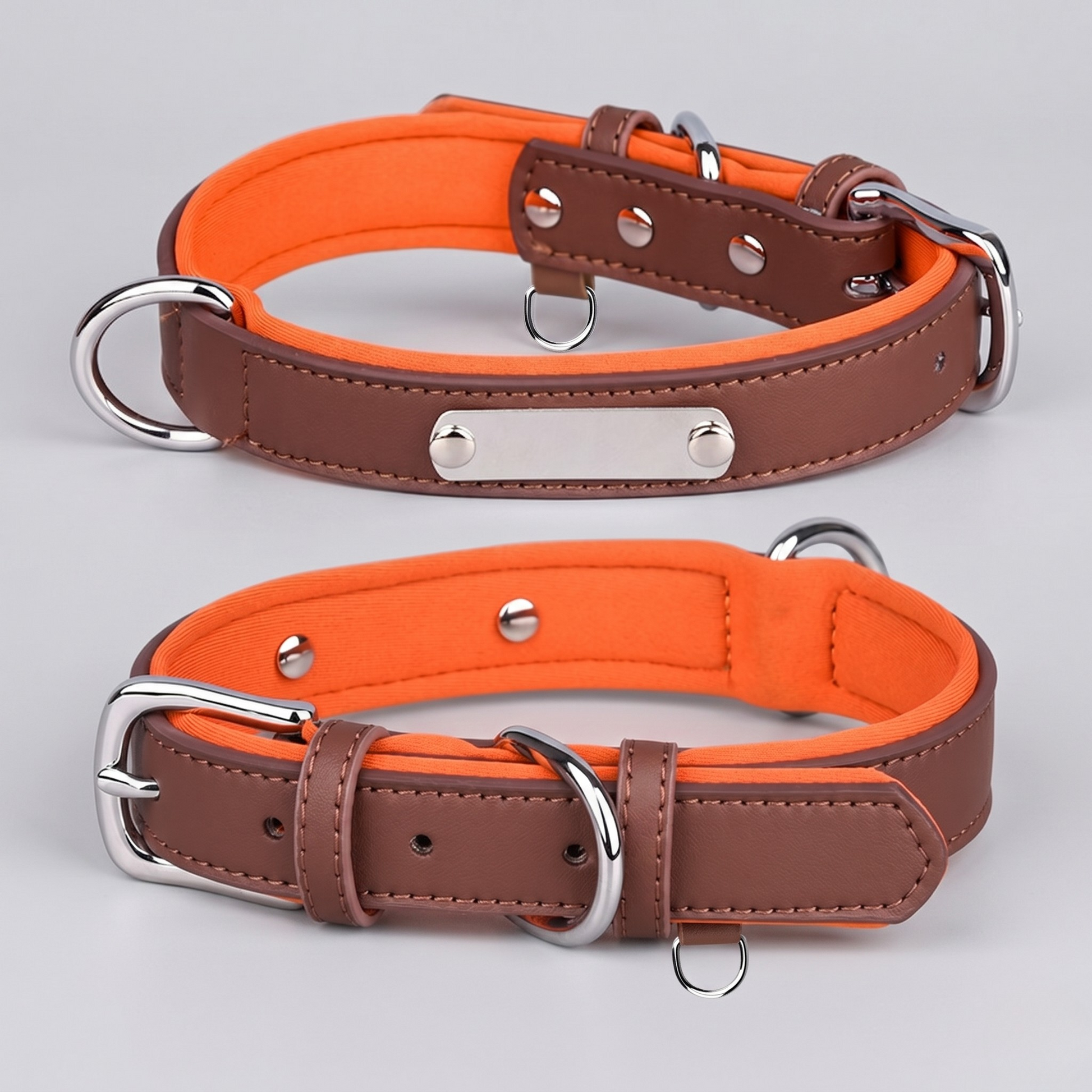 Dual D-Ring Collar With Nameplate