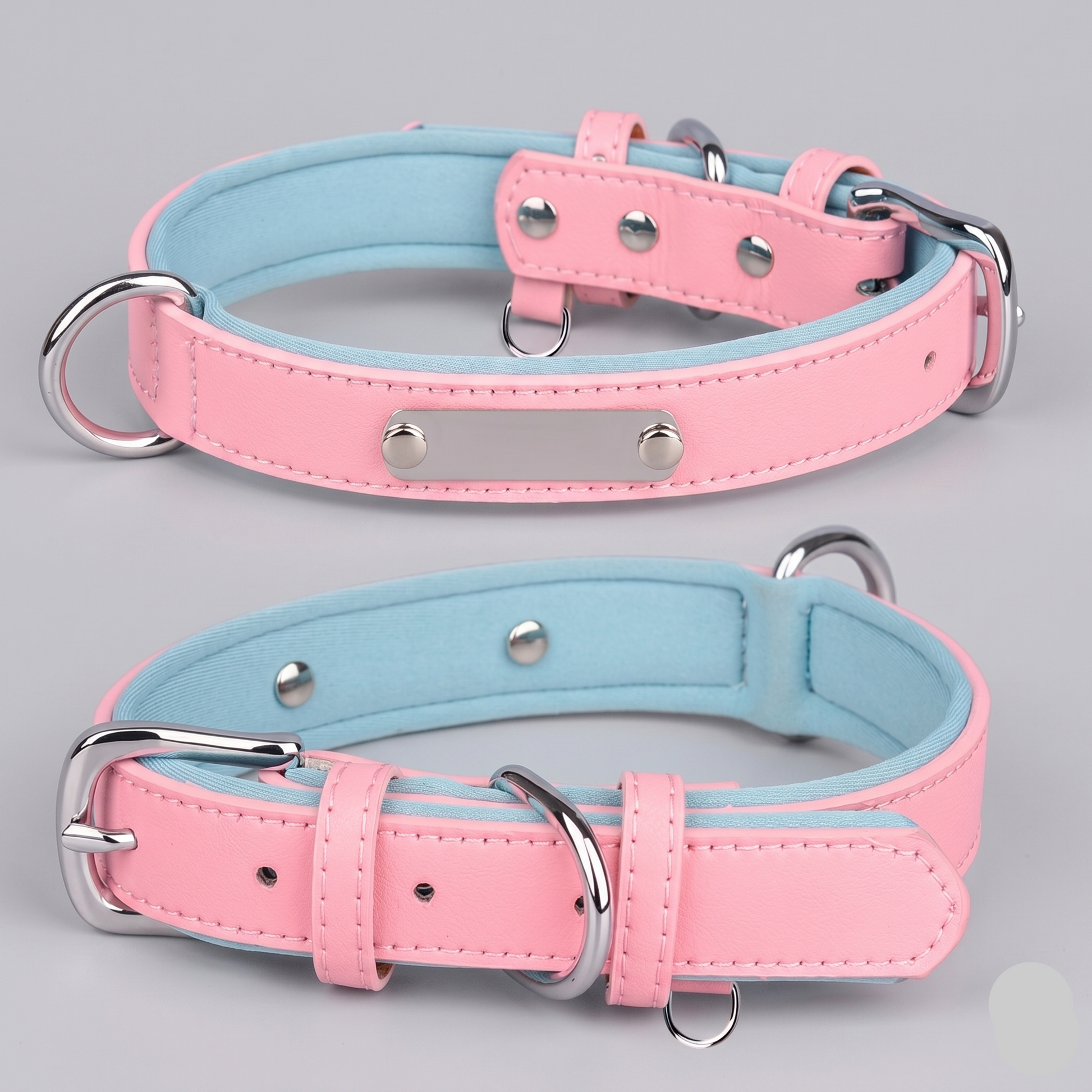 Dual D-Ring Collar With Nameplate