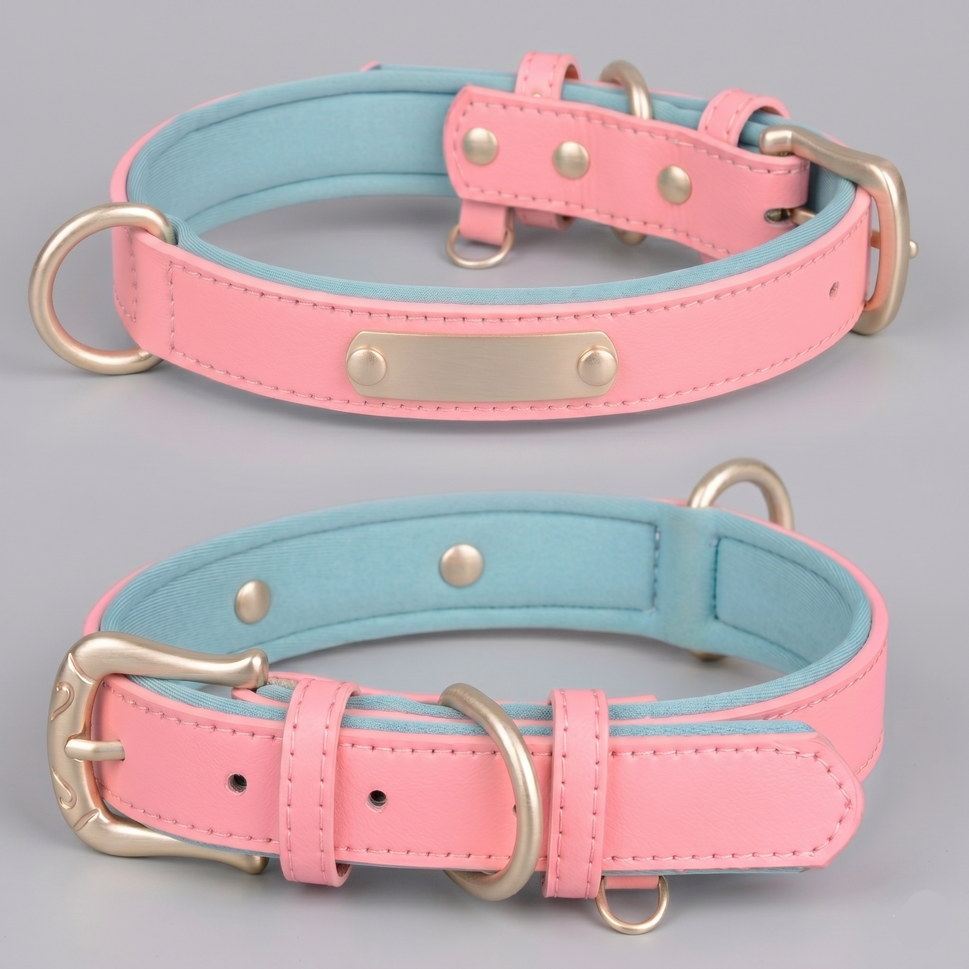 Dual D-Ring Collar With Nameplate