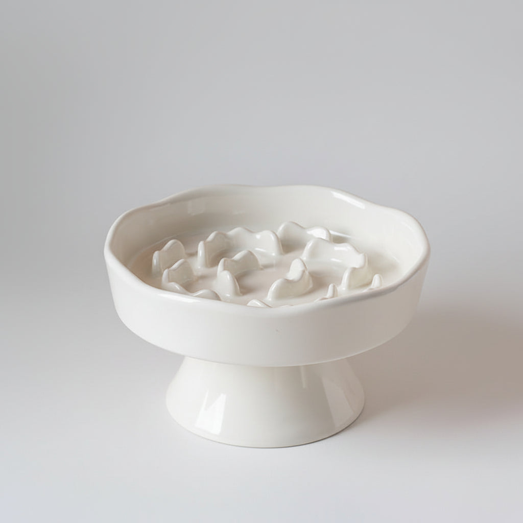 Elegant Elevated Slow Feeder Ceramic Bowl