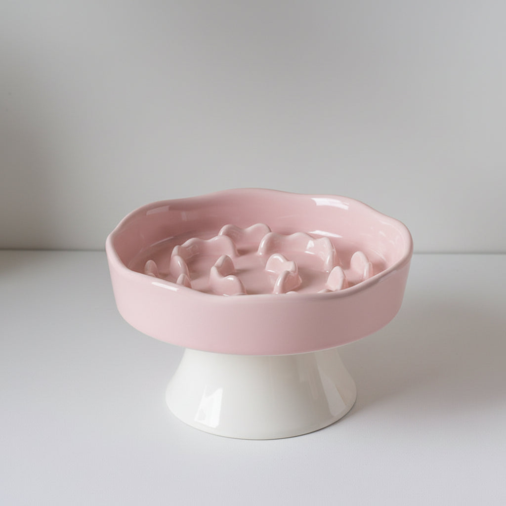 Elegant Elevated Slow Feeder Ceramic Bowl