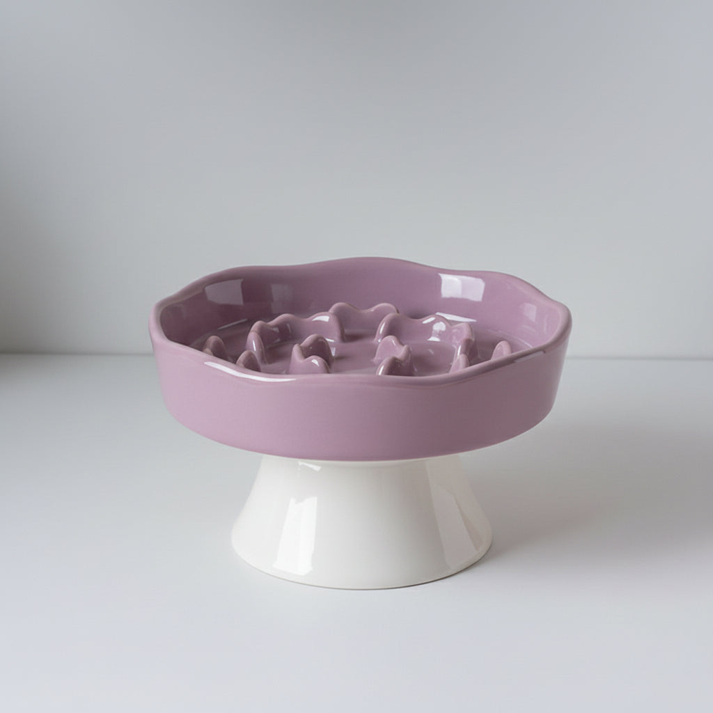 Elegant Elevated Slow Feeder Ceramic Bowl