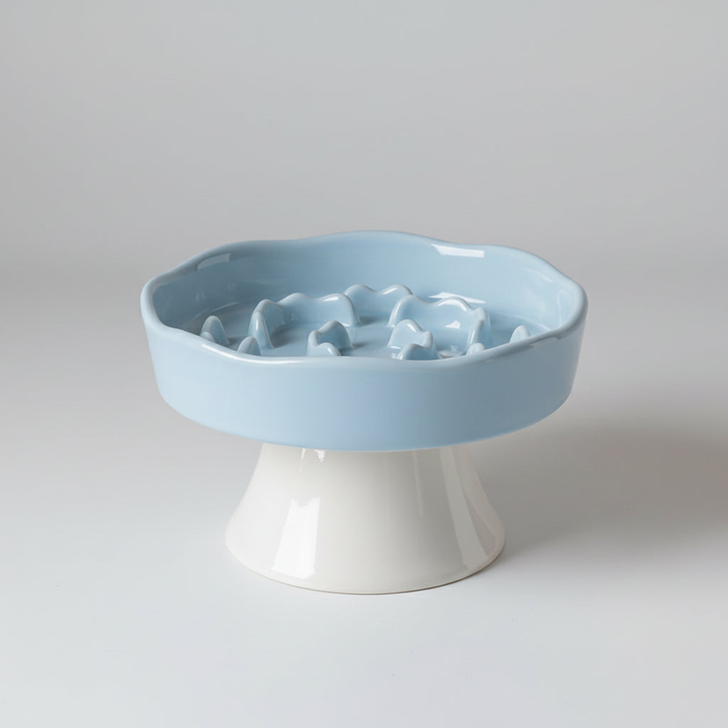Elegant Elevated Slow Feeder Ceramic Bowl
