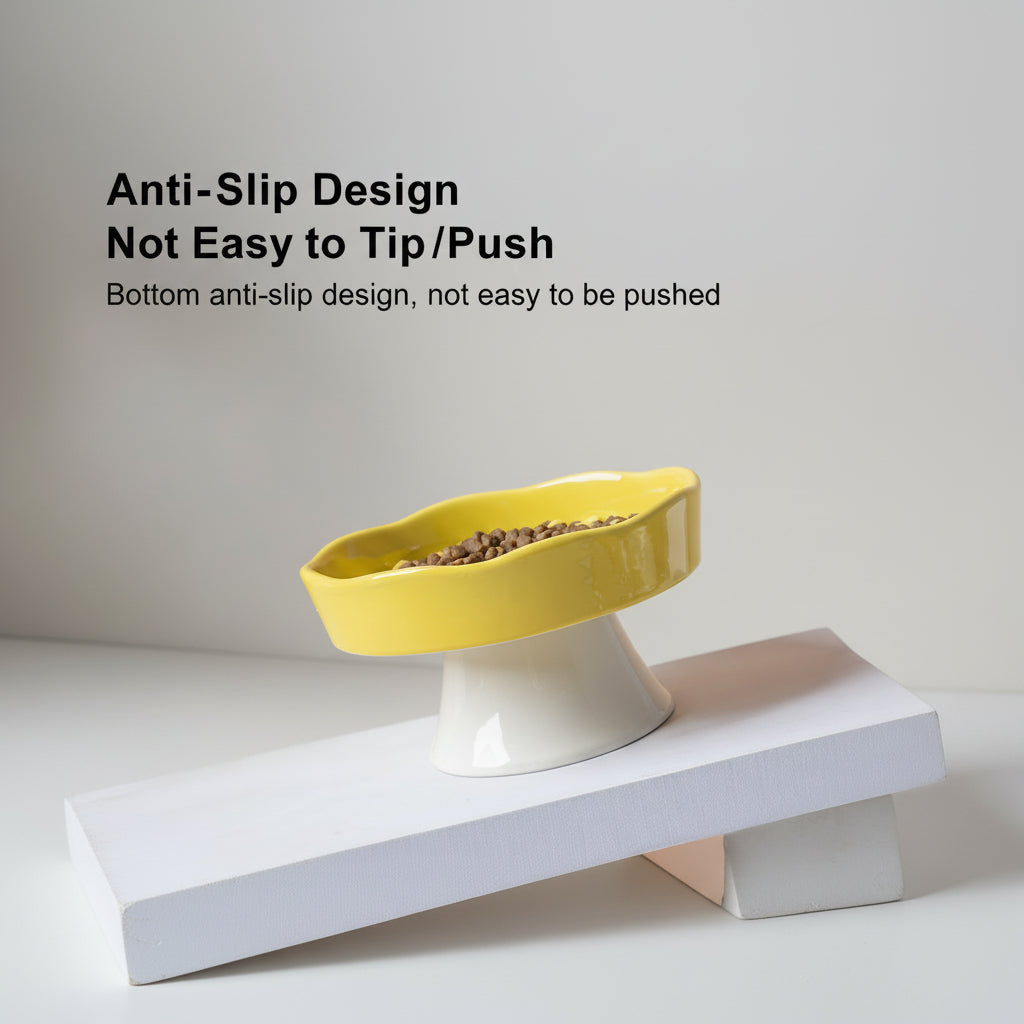 Elegant Elevated Slow Feeder Ceramic Bowl