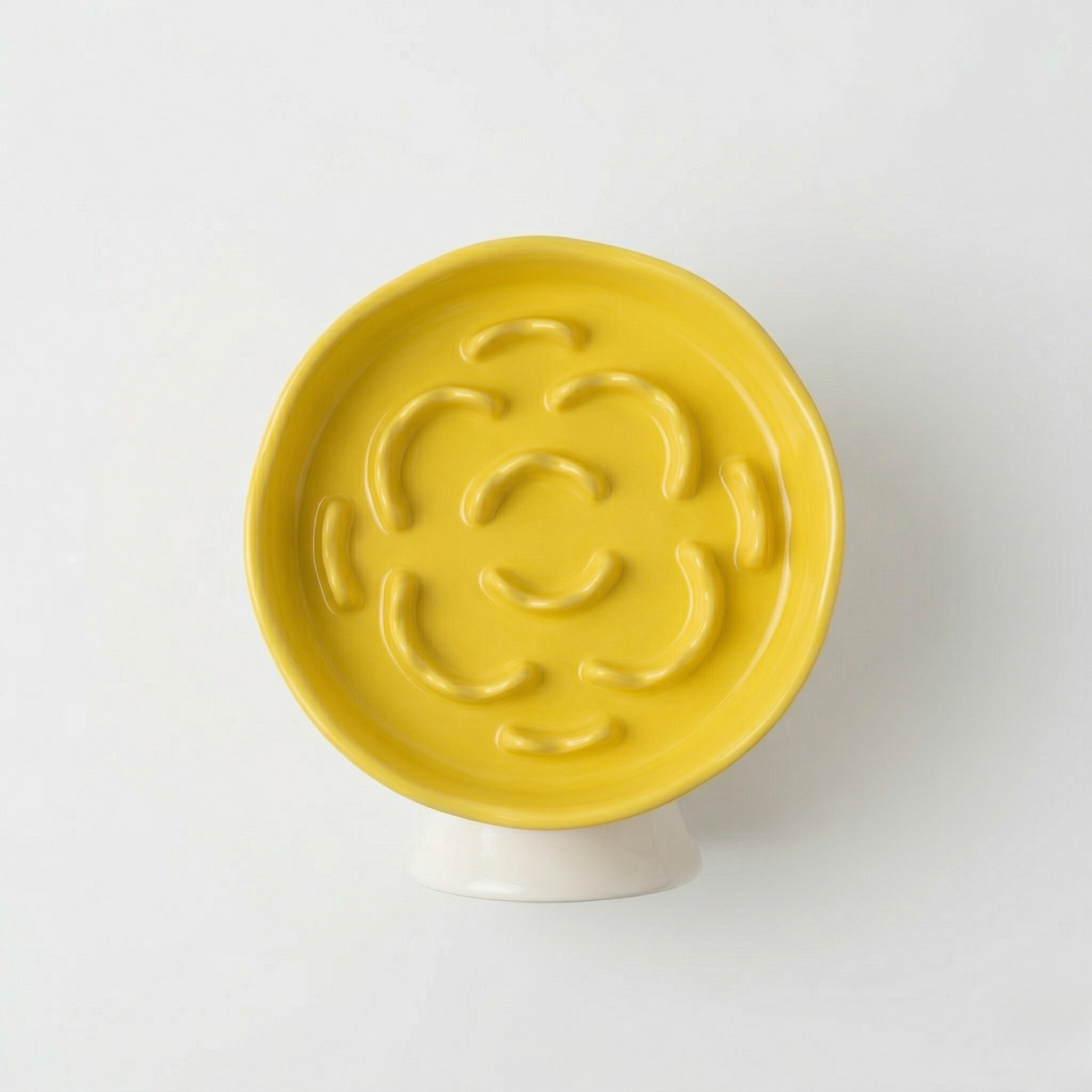 Elegant Elevated Slow Feeder Ceramic Bowl