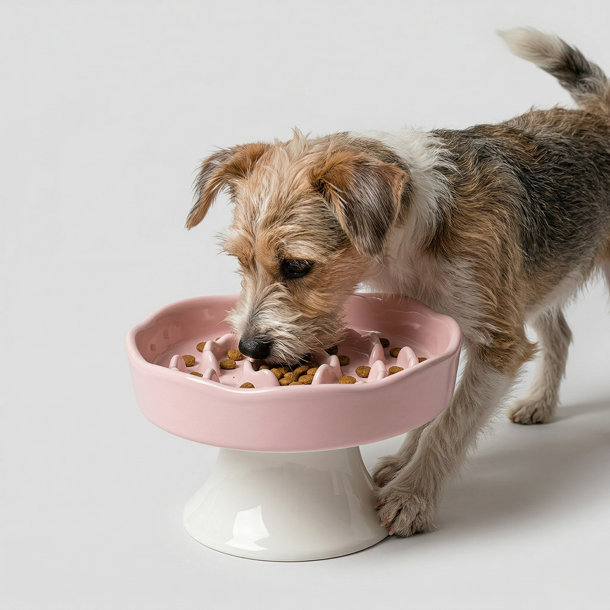 Elegant Elevated Slow Feeder Ceramic Bowl