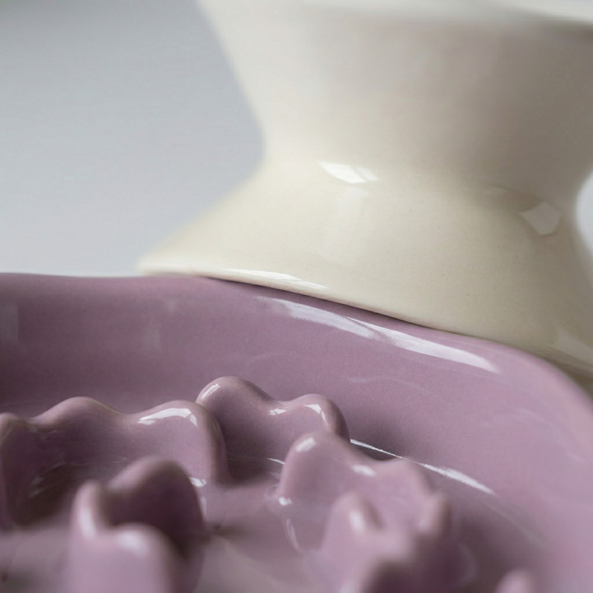 Elegant Elevated Slow Feeder Ceramic Bowl