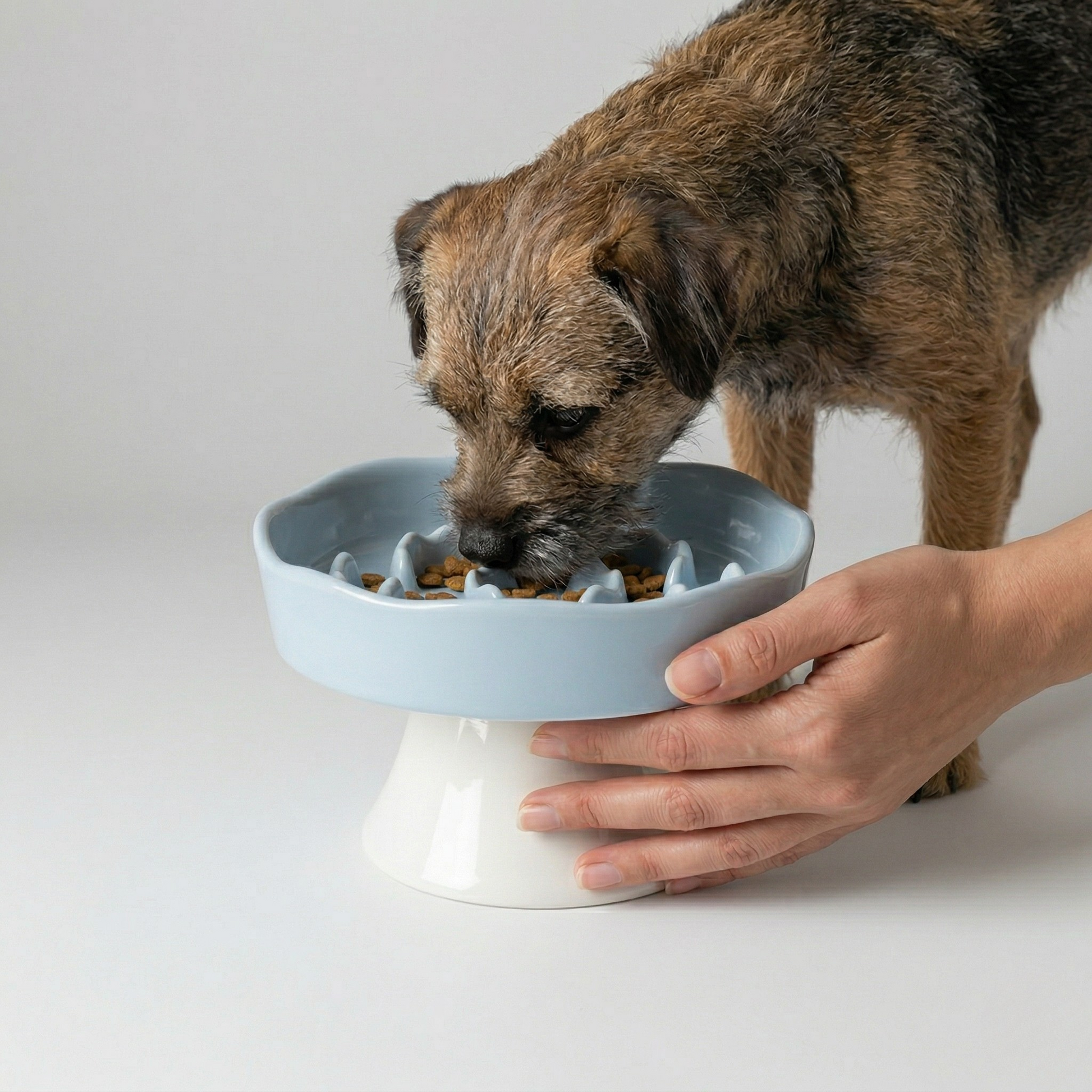 Elegant Elevated Slow Feeder Ceramic Bowl