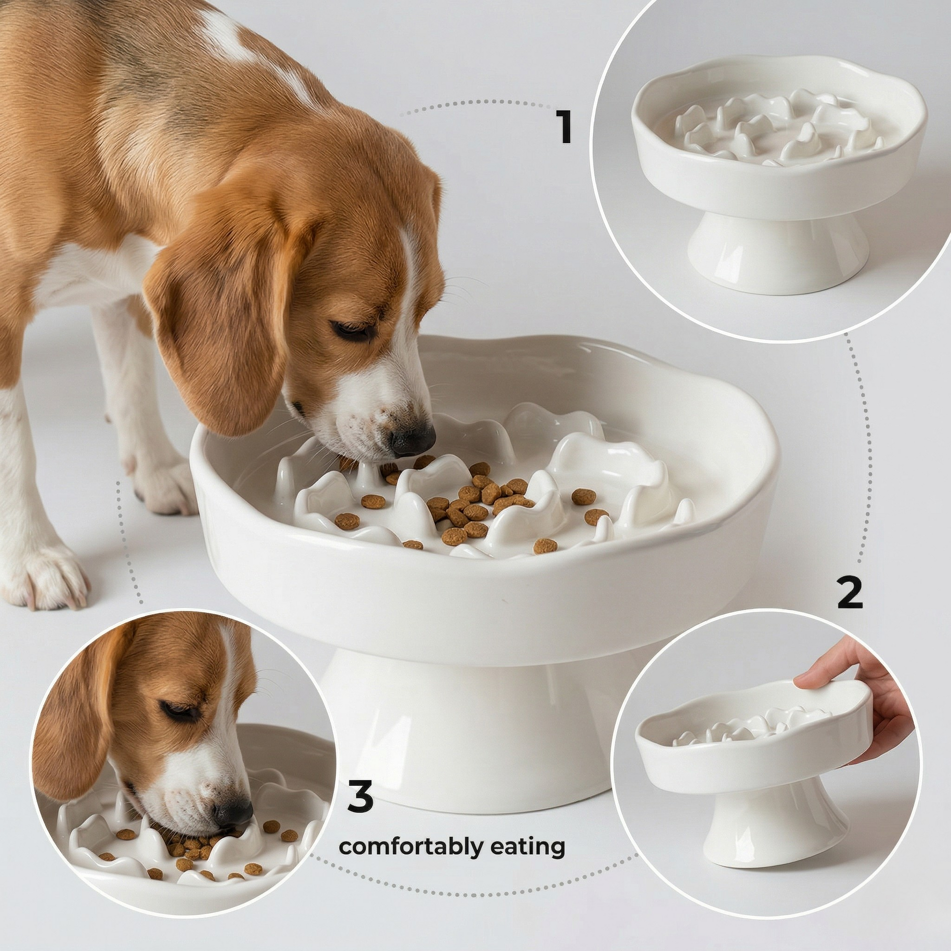 Elegant Elevated Slow Feeder Ceramic Bowl