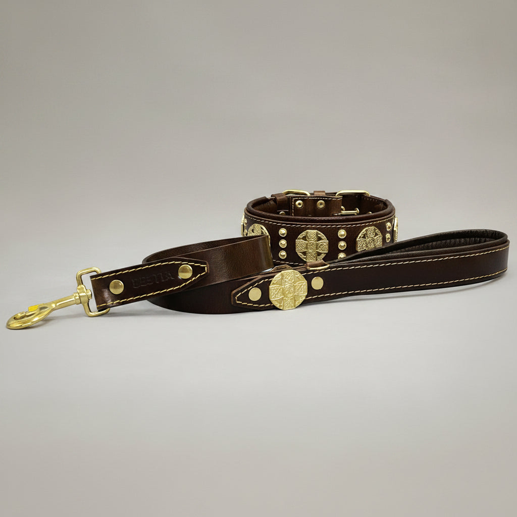 Elegant Leather Collar With Rivet Patterns