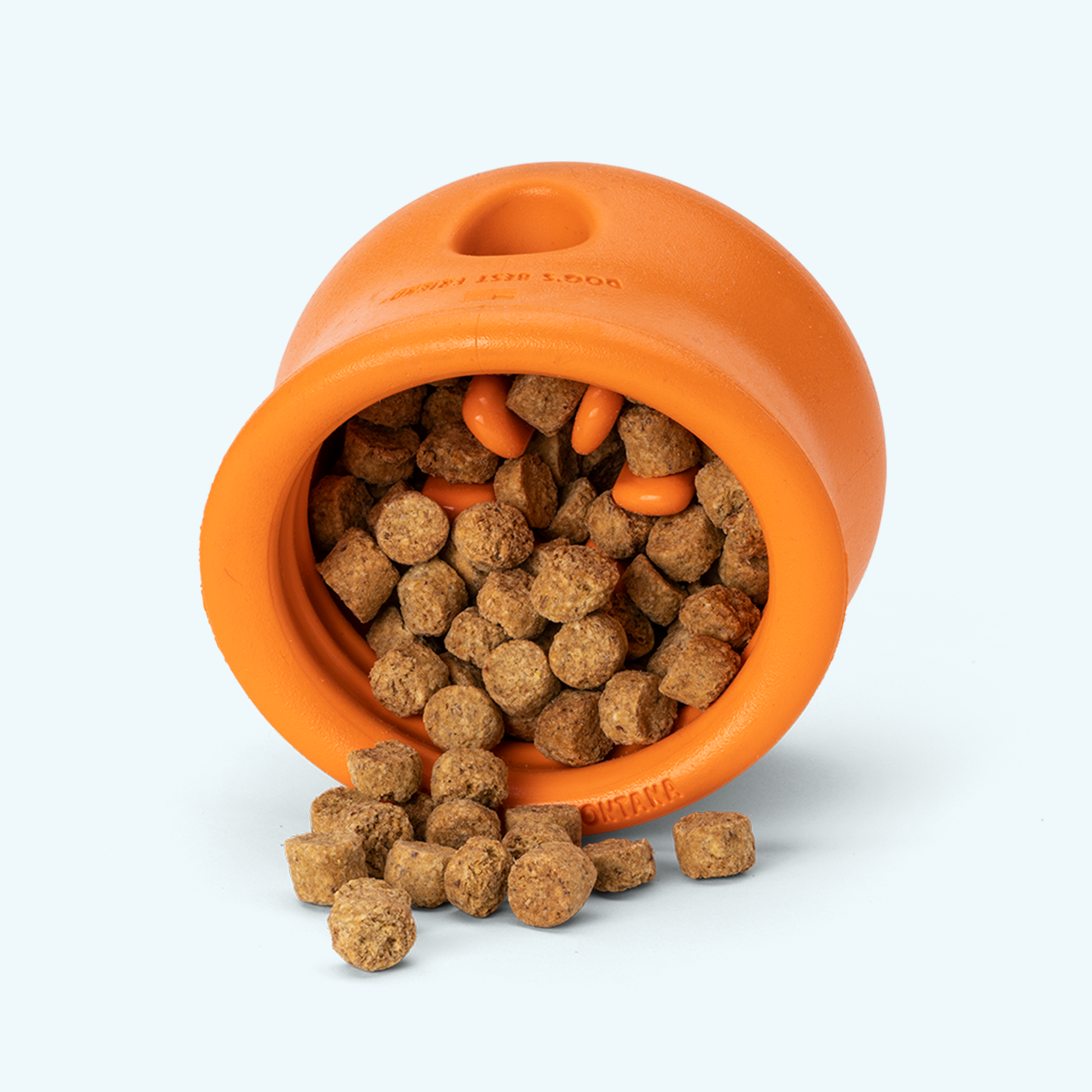 Elegant Pet Accessory