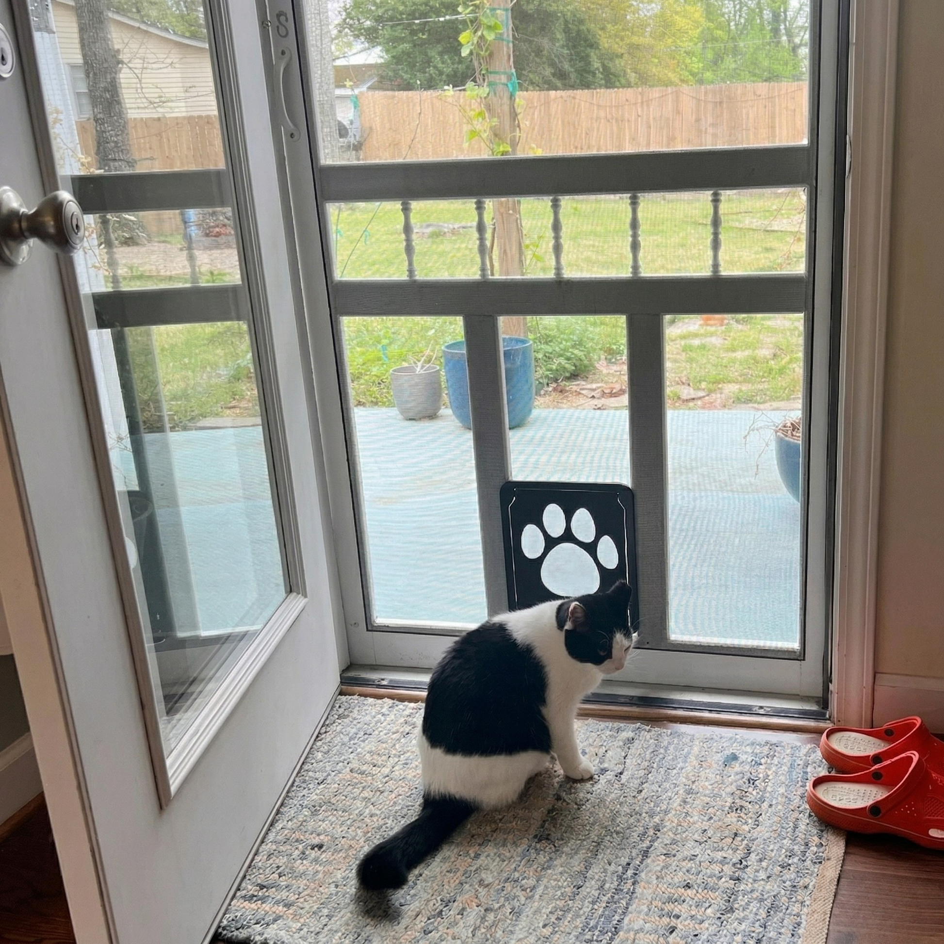 Elegant Pet Screen Door With Flexible Flap