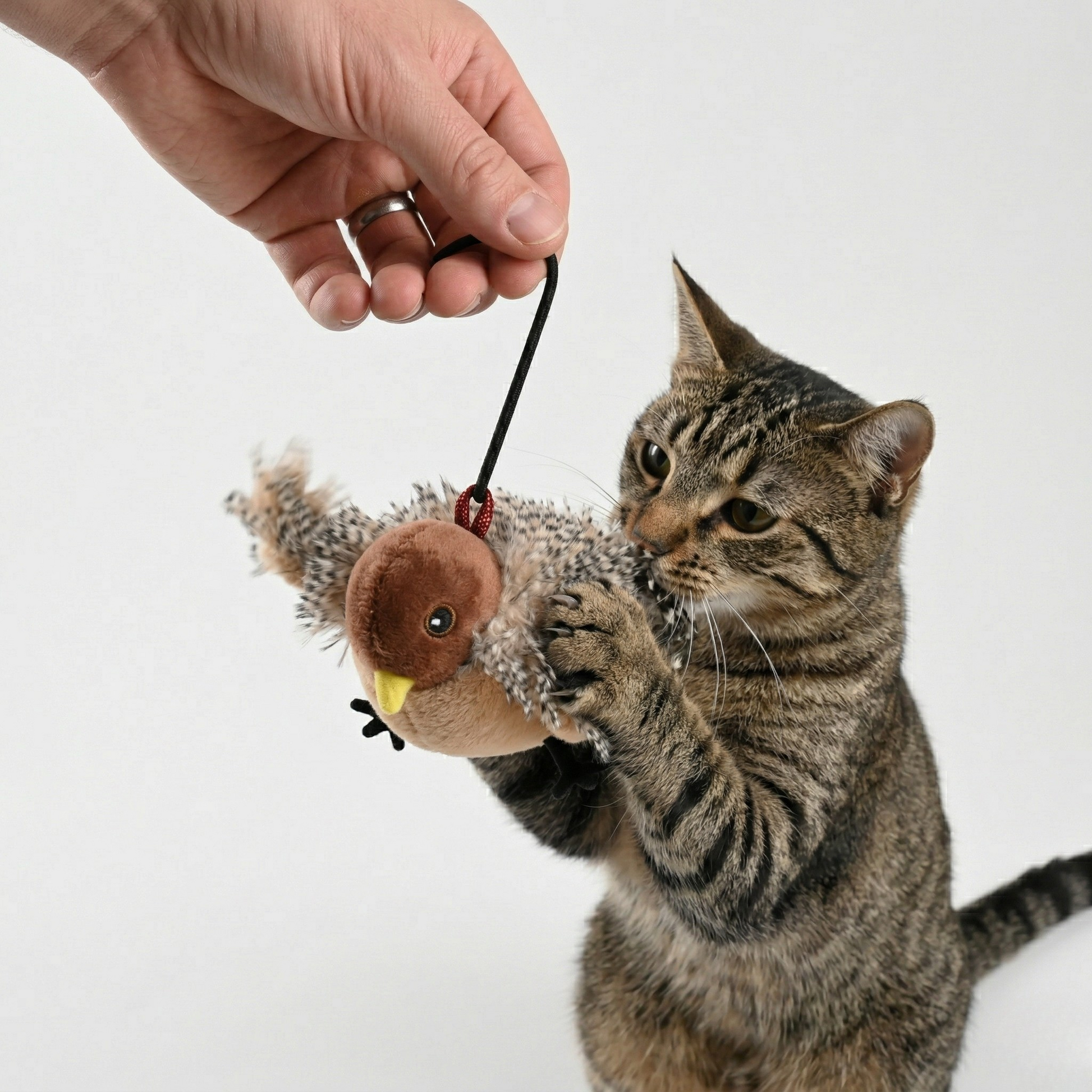 Interactive Cat Toy Flapping Wings
