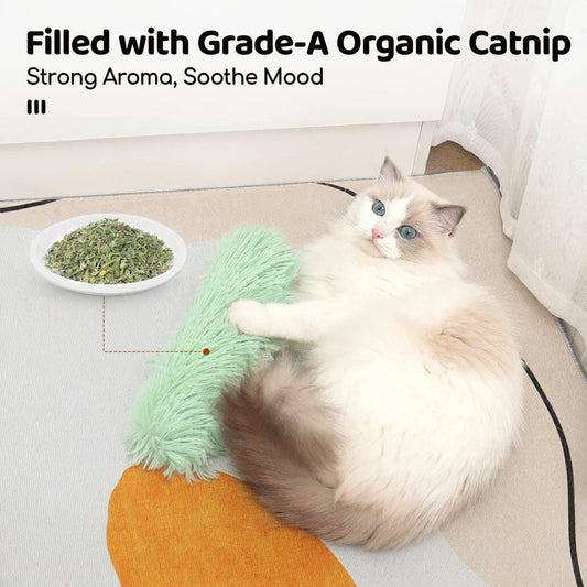 Interactive Plush Pillow With Catnip