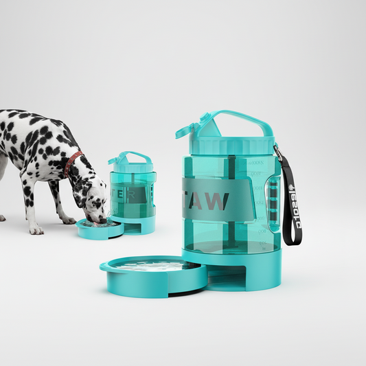 Leak-Proof Travel Water Bottle