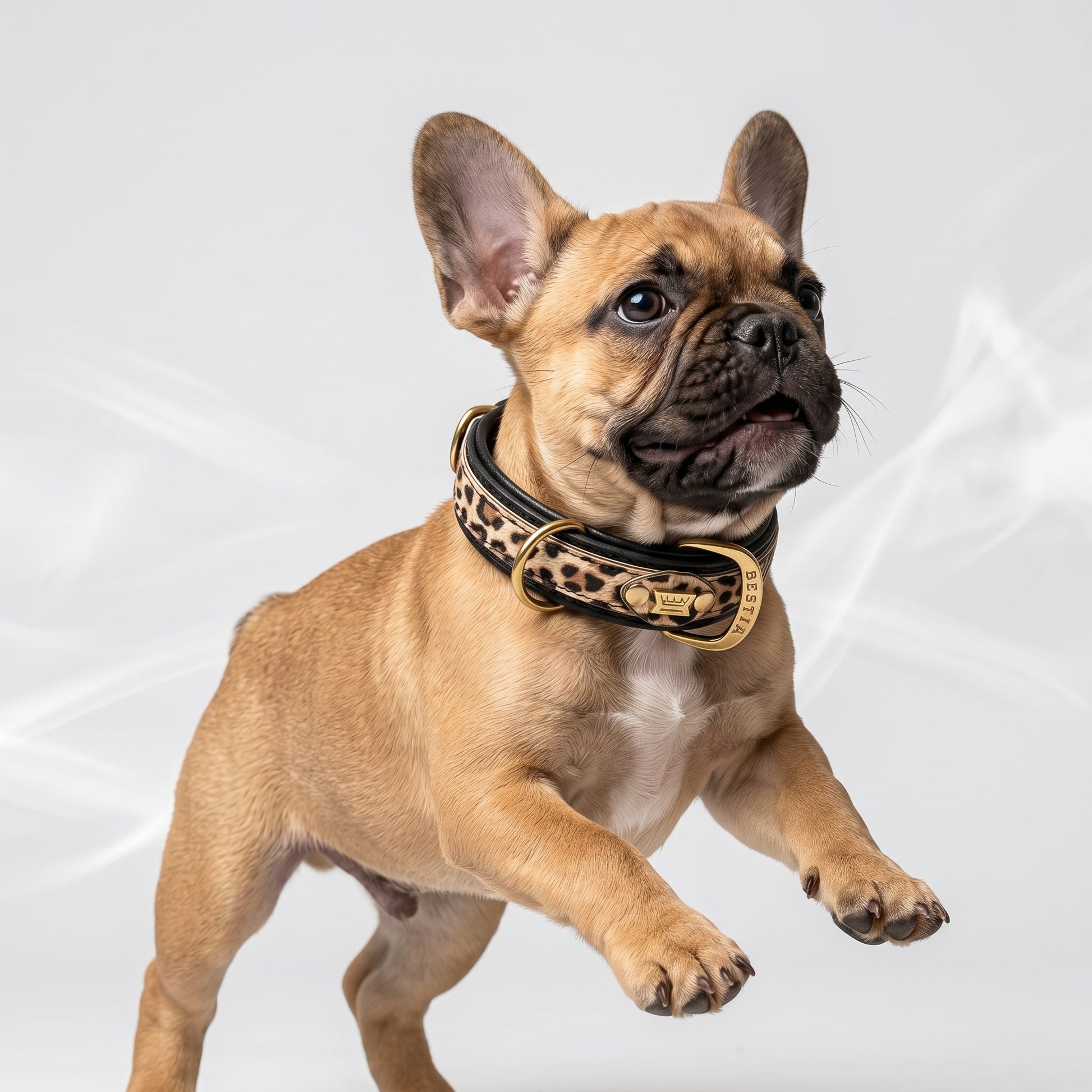 Leopard Leather Collar With Orthopedic Cushion