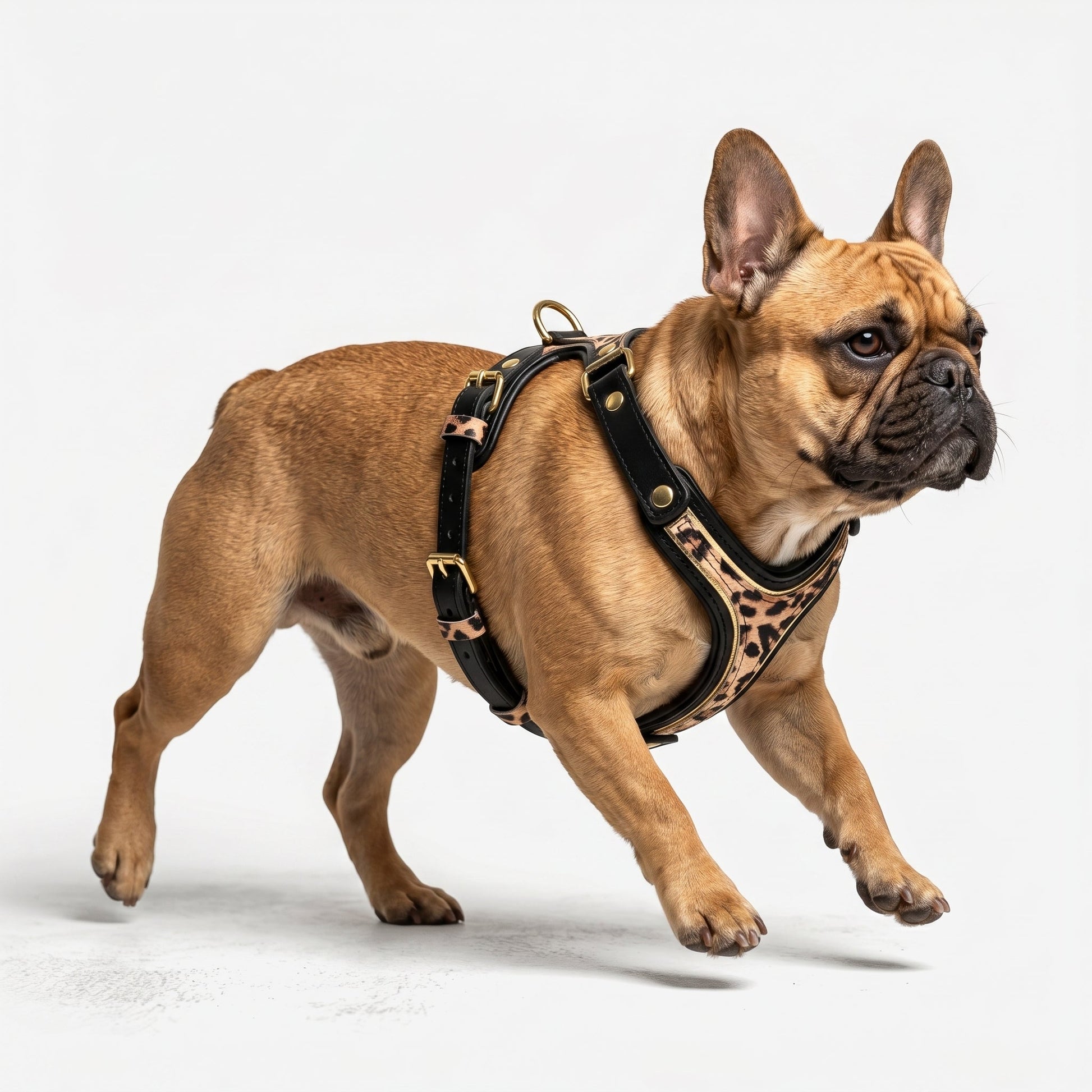 Leopard Leather Harness
