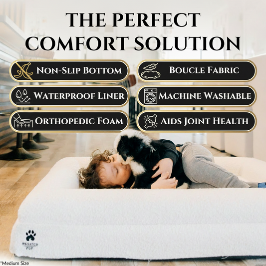 Luxury Boucle Orthopedic Dog Bed