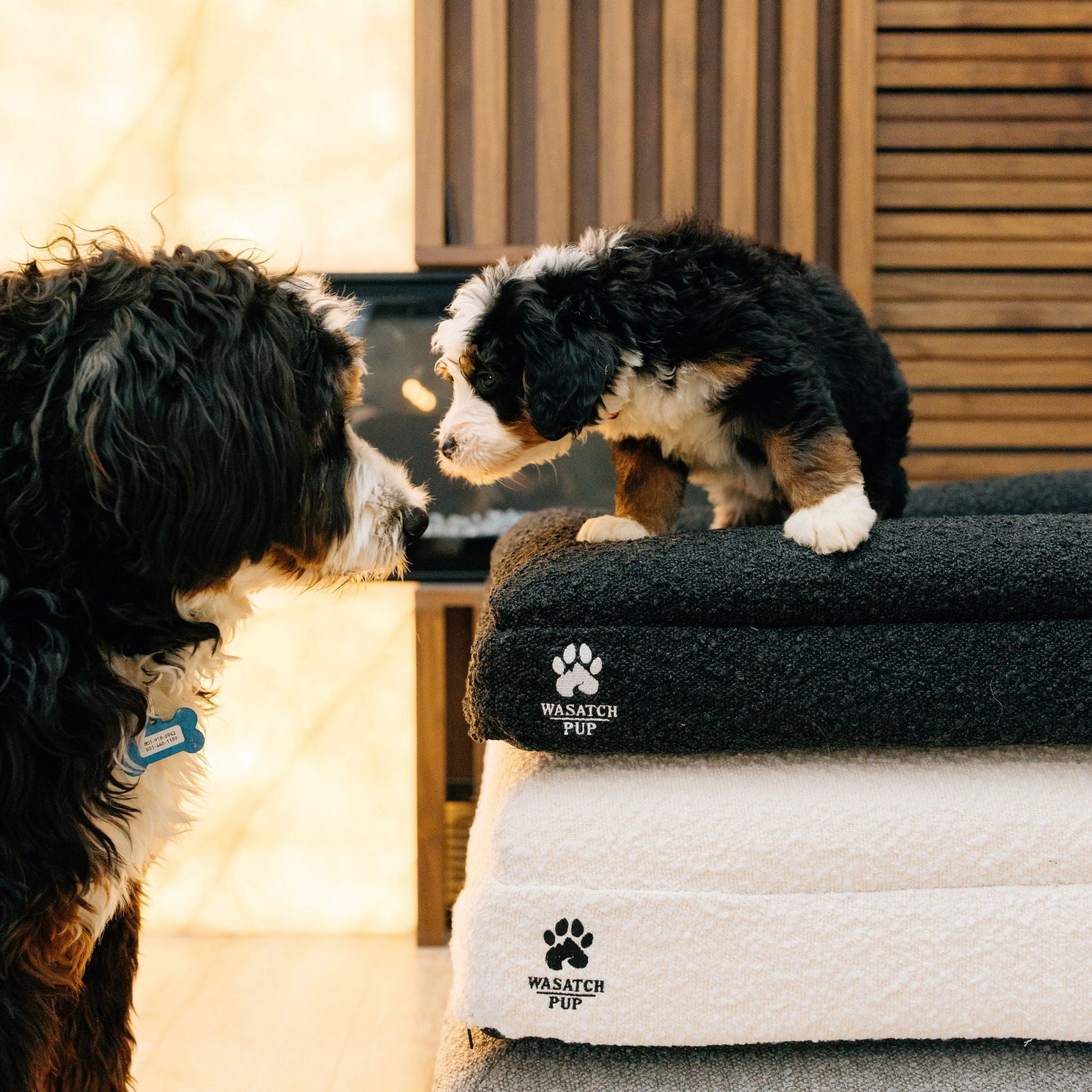 Luxury Boucle Orthopedic Dog Bed