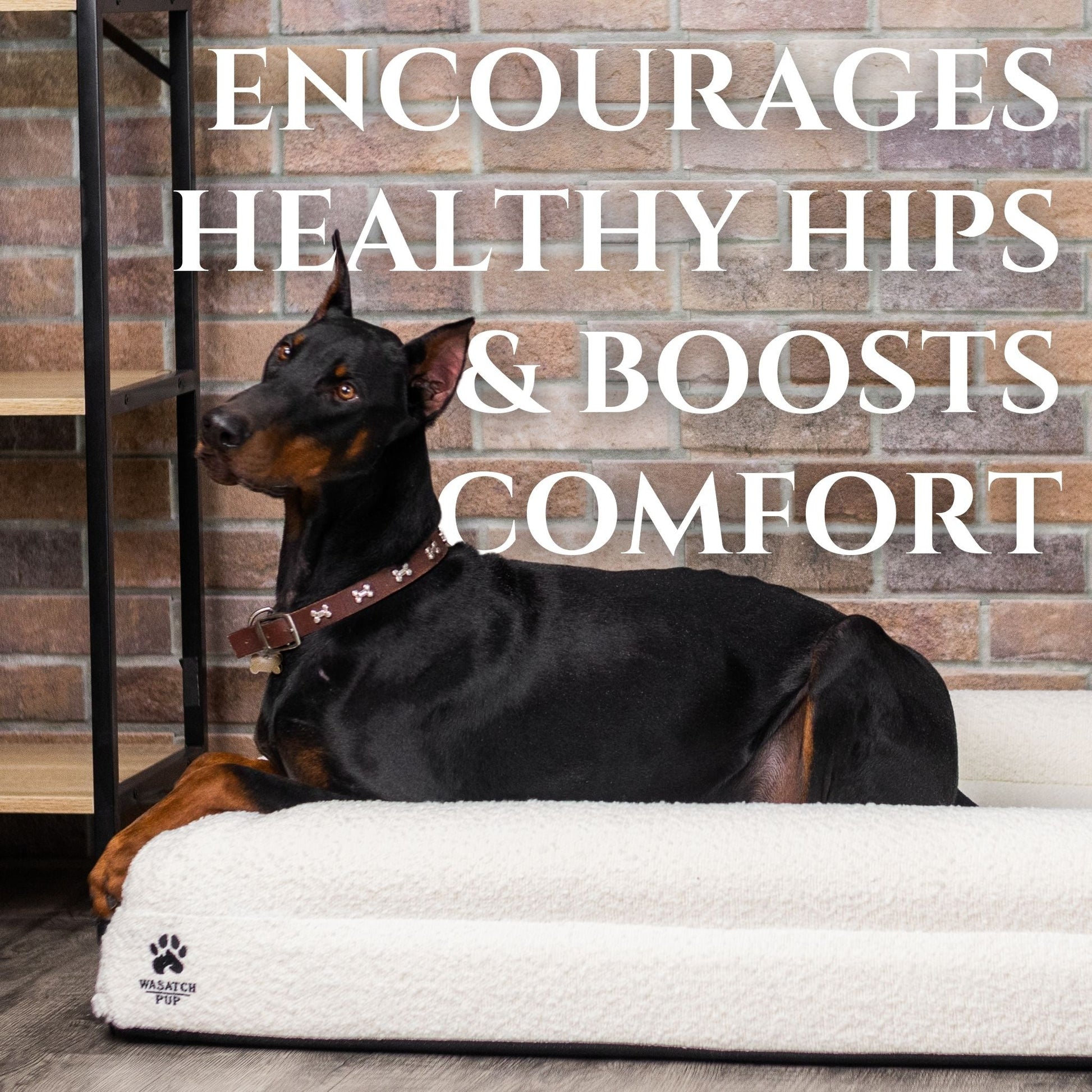 Luxury Boucle Orthopedic Dog Bed