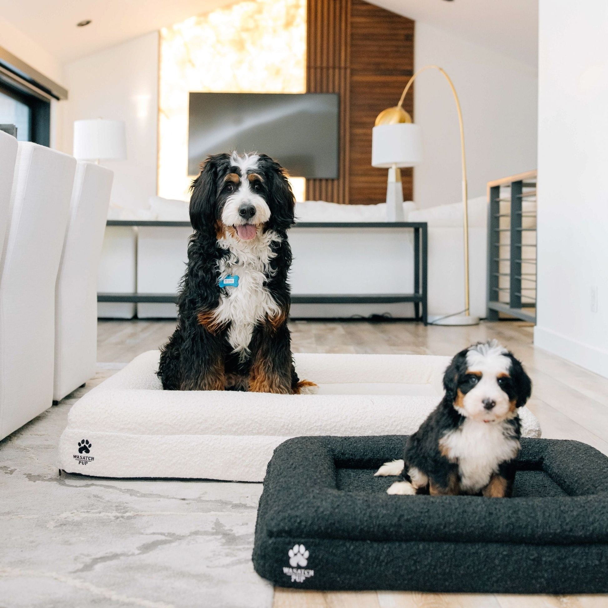 Luxury Boucle Orthopedic Dog Bed
