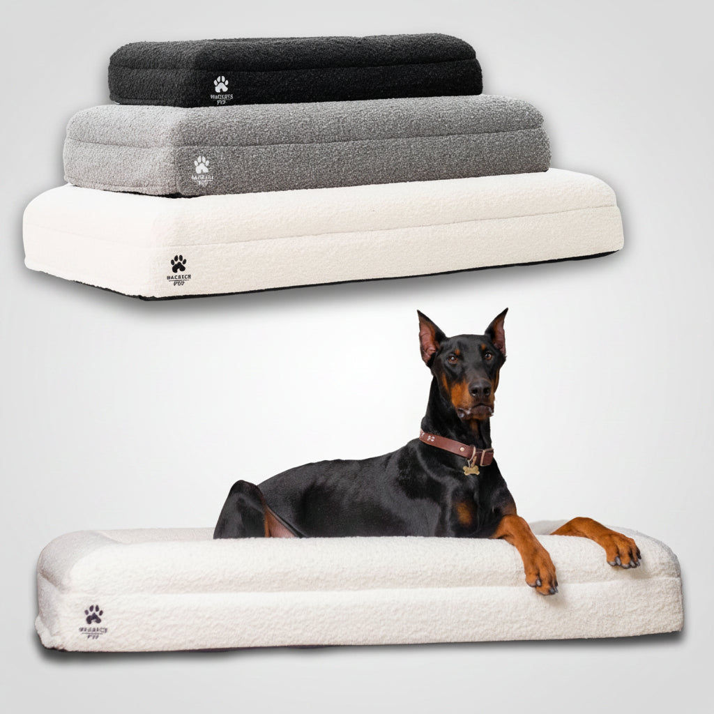 Luxury Boucle Orthopedic Dog Bed