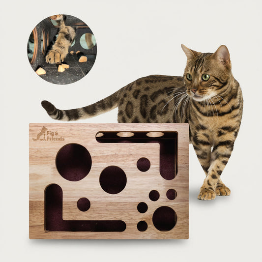 Nail File Enrichment Box