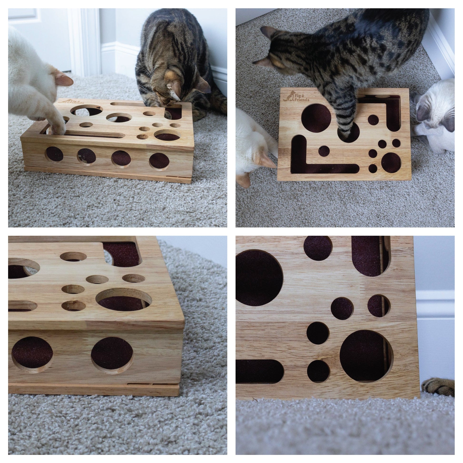 Nail File Enrichment Box